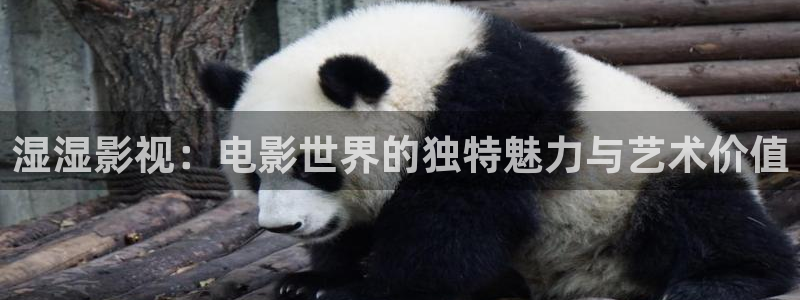 四虎成人影院樱桃视频